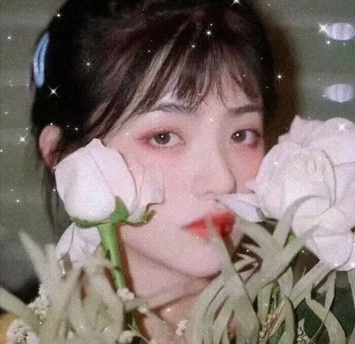 麦迪逊