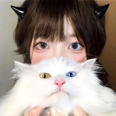 猪猪侠·不可思议的世界